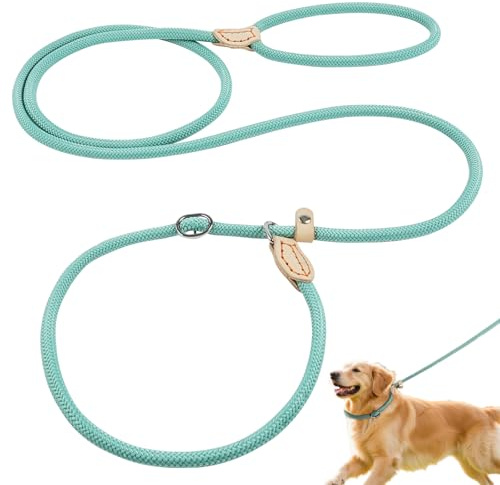 OSDUE Slip Lead for Small Medium Dogs,1.8m Dog Training Leash Rope,Cyan