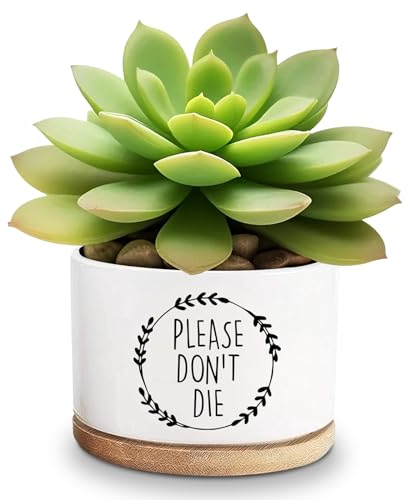 Lasimfa Please Don't Die Keramik-Sukkulenten-Übertöpfe, Kaktusblume, lustige Pflanztöpfe für Pflanzenliebhaber, Freunde, Freunde, Geburtstag, Weihnachten, Erntedankfest, Geschenk, 9,1 cm (Pflanze