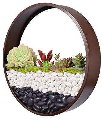 Murale Planteur,DéCoration Mur Pots à Suspendre MéTal Ronde Pots De Fleurs à Suspendu Verre Mural JardinièRe Clair Vase pour Artificielles Fleur,Cactus,Succulentes,DéCor pour Salon Salle à Manger