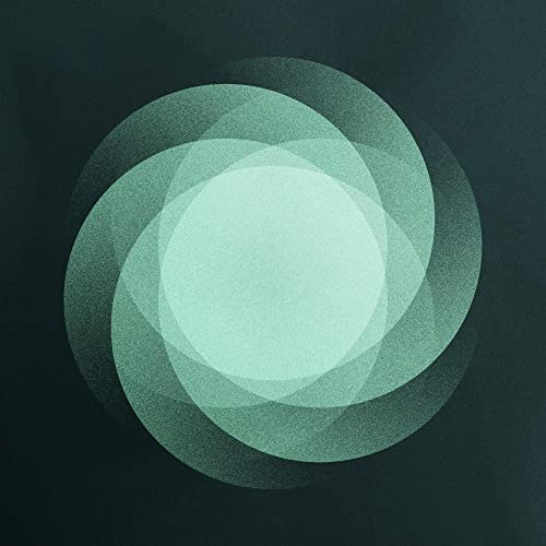 The Shape of Everything