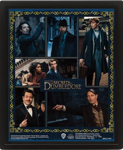 Pyramid International Fantastic Beasts The Secrets of Dumbledore 3D-Poster, 25 cm x 20 cm x 1,3 cm, in Kastenrahmen, offizieller Merchandise-Artikel