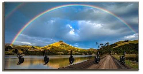 Wallario Wandgarderobe aus Holz in Größe 80 x 40 cm in Premium-Qualität, Motiv: Regenbogen über Hügel | 5 Kleiderhaken zum Aufhängen