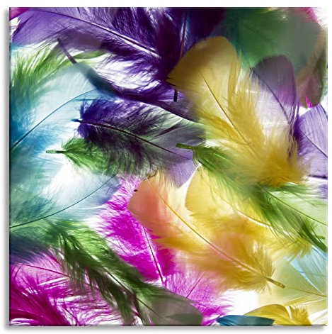 Pixxprint Glasbild, Wandbild auf Echtglas, Anordnung von Federn, 70x70 cm, inkl. Aufhängung und Abstandshalter