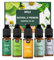 MISIJI Set di oli essenziali per diffusori，per la casa, lavanda, menta, tea tree, eucalipto, arancio, 5 X 10ML