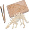 Doridia Imports Out of The Blue Ausgrabungsset - Dinosaurier Skelett