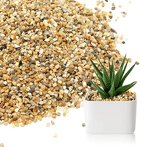 Coarse Sand Stone - Succulents and Cactus Bonsai DIY Projects Rocks, Decorative Gravel for Plants and Vases Fillers,Terrarium, Fairy Gardening, Natural Stone Top Dressing for Potted Plants.1.6lb