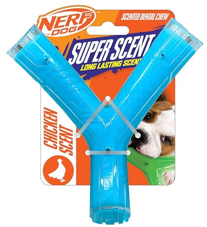 Nerf Dog Bacon Scented Super Scent Wishbone, 6.5-Inch Durable Fetch and Chew Toy for Dogs, Clear/Light Blue
