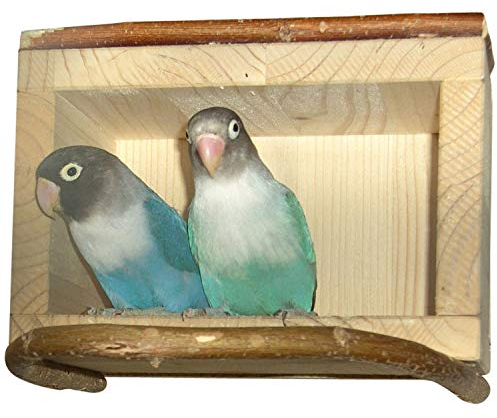 Vogelgaleria® Wellensittich Vogelhaus mit Naturholz Anflugstange | EIN Schutzhaus im Vogelkäfig oder Voliere ist für Vögel extrem entspannend | Geliebt als Schlafplatz von Agaporniden Nymphensittich