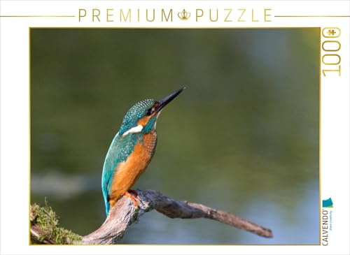 CALVENDO Puzzle Eisvogel auf der Sitzwarte | 1000 Teile Lege-Größe 64 x 48 cm Foto-Puzzle für glückliche Stunden