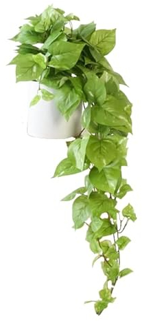 Retrograde Künstliche Pothos-Efeupflanze, 81,3 cm, realistisch, groß, Hellgrün