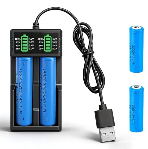 NAVESO 2 batterie ricaricabili agli ioni di litio da 3,7 V 2200 mAh, batteria agli ioni di litio da 3,7 V con caricabatterie, batteria agli ioni di litio per torcia, ventilatore piccolo, campanello