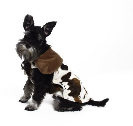 KARLIE Hundemantel CATTLE COAT für Hunde 31cm