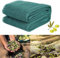 Viceree Red de Recolección de Aceitunas 4x8 Metros Profesional y Resistente Maximiza el Rendimiento con Cubierta Anti-Granizo 50 g/m2 Multifuncional para Frutas Secas Nueces y Almendras