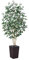 VeriNatural Ficus Künstlich 180cm - Kunstpflanze Groß mit Echtholzstamm, Braun Gewebter Pflanzer, UV-beständiger Künstlicher Baum für Innen & Außen - Perfekt für Wohnzimmer, Balkon, Gartenn, VN129