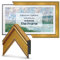 Deco TV Frames - Marco inteligente dorado antiguo compatible solo con Samsung The Frame TV (65 pulgadas, compatible con TV Frame 2021-2024)