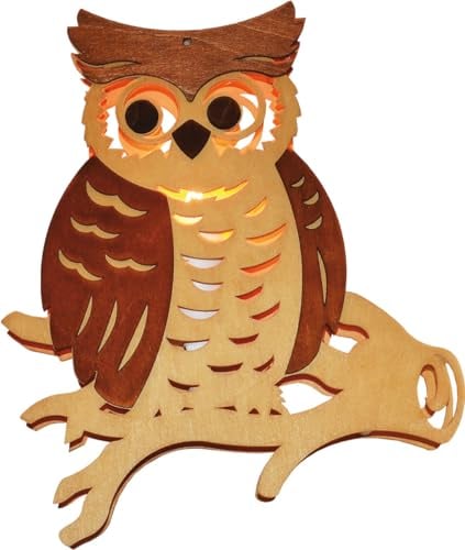 Ratags Fensterbild, beleuchtet, Eule