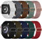 Wepro 10 Piezas Correas Solo Loop Elástica Compatible con Correas Apple Watch 42mm 44mm 45mm 46mm 49mm, Correas de Nylon Ajustable para iWatch SE/10/9/8/7/6/5/4/3/2/1/Ultra/Ultra 2, Grupo B