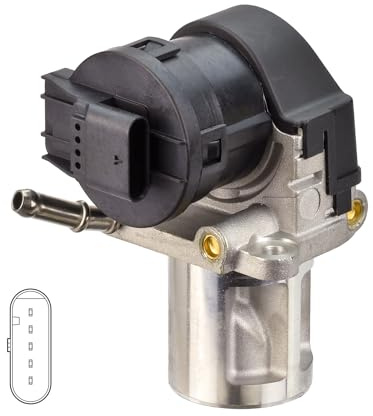 Delphi Technologies EG10627-12B1 AGR-Ventil