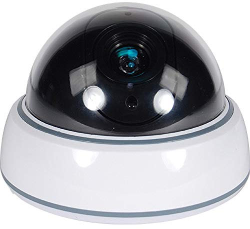 DUMMY DOME CAMERA WITH LED AND WHITE BODY
