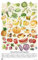 Unbekannt Erik Poster Obst und Gemüse