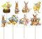 awakentti 8PCS Peter Rabbit Cupcake Decoration, Room Ornaments Cake Picks with Clear Printing, Easter Cupcake Toppers for Photo Wall, Photo Booth Background, Candy Box