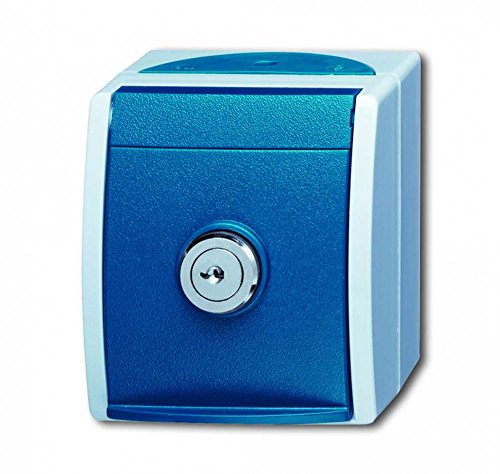 Busch-Jaeger BUSC Steckdose 20 EWSL-101-53 Ocean