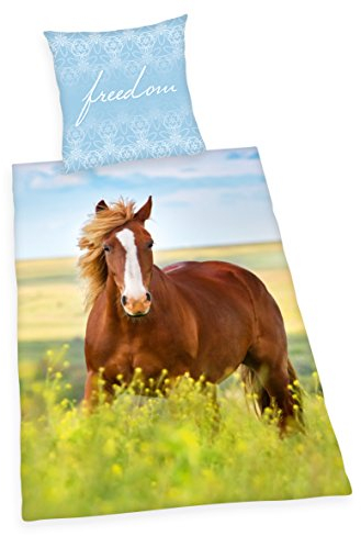 Herding Young Collection Bettwäsche-Set, Pferd Wendemotiv, Bettbezug 140 x 200 cm, Kopfkissenbezug 70 x 90 cm, Baumwolle/Renforcé