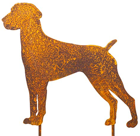 Blümelhuber Hund Gartenstecker Metall in Rostoptik - Dobermann, Hunde Gartenfiguren aus Rost - Edelrost Garten Outdoor Deko für Vorgarten, Beet oder Haustür