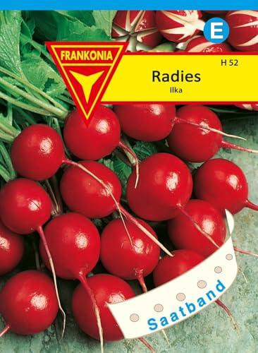 FRANKONIA Radies, Ilka Saatband - Gemüse-Samen Radieschen-Samen Saatgut (Raphanus sativus)