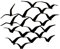 Decorizzly®, Crochets muraux décoratifs, porte-manteaux, cintres originaux BIRDS