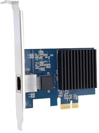 Bewinner 10Gb PCIe NIC Carte Réseau, RJ45 Ethernet Adaptateur PCI Express Gen4 X1 à 10 Gigabit LAN avec RTL8127 Chipset NBASE T Soutien PXE VLAN Jumbo Cadre pour Bureau