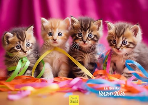 Edition Seidel Premium Kalender Die Welt der Katzen 2026 Format DIN A3 Wandkalender Katzenkalender Haustiere Kätzchen Katzenkinder Katze Kater Kitten