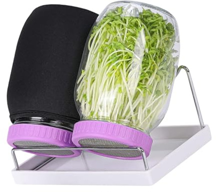 Fahoujs Sprossen Grower Systeme Glasgefäß Mit Auffangschale Für Alfalfa Bio Mungbohnen Und Rettich Setzlinge Platzsparendes Sprossen Set Einmachglas