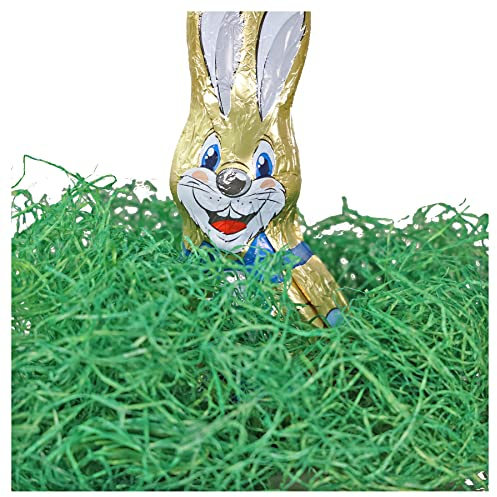 300g Ostergras Natur - Grüne Holzwolle - BIO | Ideal für Ostereier Deko, Ostern Deko, Ostern Geschenke oder Dekoration Frühling | Grün gefärbte Holzwolle -Fichtenholz PEFC-Zertifiziert