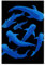 artboxONE Poster 30x20 cm Tiere Shark Whales hochwertiger Design Kunstdruck - Bild Shark hai Natur