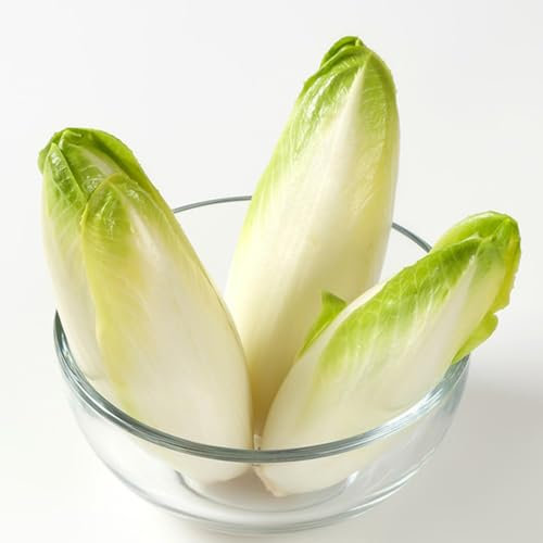 150 piezas Semillas de achicoria - Radicchio - semillas de siembra orgánica semillas de plantas vegetales Semillas de Achicoria Orgánicas Plantas vegetales plantas en macetas resistentes