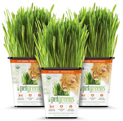 100% Certified Organic Fresh Cat Grass 3-Pack. Natural Cat Treat