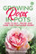 Growing Roses in Pots: How to buy, prune and care for Container Roses.