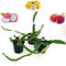 POWERS TO FLOWERS - PITAYA TRIS: GIALLA, A POLPA ROSSA e BIANCA, FRUTTO DEL DRAGO, HYLOCEREUS UNDULATUS, DRAGON FRUIT, 3 PIANTE, piante vere