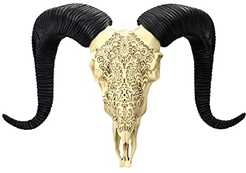 Pacific Giftware Wandrelief Widderschädel groß 49 cm | Western Deko Totenschädel Wand Trophäe Stier Bulle Longhorn Geweih Hörner Kopf