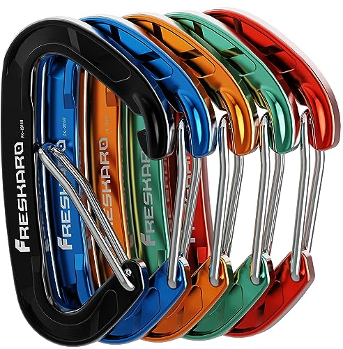 FresKaro Karabiner Haken-Karabinerhaken 15kN, Robust, Klein, Stabil, Schlüsselanhänger, Zubehör, Federschnapper, 5Stück Regenbogen