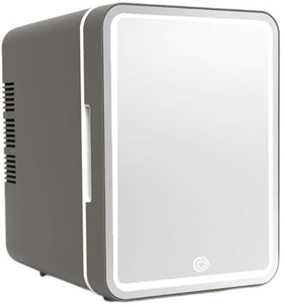 FytStycale Mini Nevera Pequeña de 4L para Almacenamiento de Alimentos, Gris