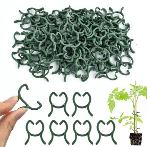100 Pièces Petites Clips pour Plantes, Réutilisables Vert Clip Plante Grimpante, Clip de Support pour Plante, Plant Climbing Clips, Clip Piante de Jardin pour Soutenir Plantes Légumes Fruits