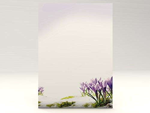 MotivpapierKrokusse 20 Blatt A4 100 G/Qm hochwertiges Briefpapier für Laser/Ink/Copy/Hand