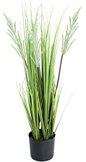 DESIGN DECORATION Deko Pflanze Kunstpflanze Pampasgras mit Übertopf 75 cm Höhe