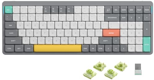 nuphy Air96 V2 Wireless Mechanical Keyboard,100 Keys RGB Backlit Keyboard,Supports Bluetooth 5.1,2.4G and Wired Connection,for PC/Laptop/Windows/Mac -Grey Gateron Aloe Switch