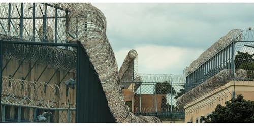 exproyzk Stacheldraht, Verzinkter Stacheldraht, Stacheldrahtzaun Gestrecktes Band Stacheldraht Spulen für Zaun, Mauer, Garten, Fabrik (Farbe : Silver, Größe : 100m)