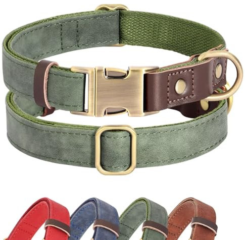 Didog Weiches gepolstertes Lederhalsband für große Hunde, klassisches Hundehalsband mit Metall-Schnellverschluss, verstellbar, großformatig, Kunstleder, Grün, L