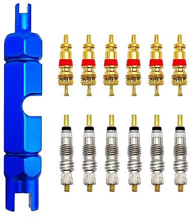 Qiuyan Bicycle Valve Core Remover Tool Kit Universal Bike and Car Valve Core Repair Tightening Tool and 12pcs Valve Cores Replacement Compatible with Presta and Schrader Valve - Blue