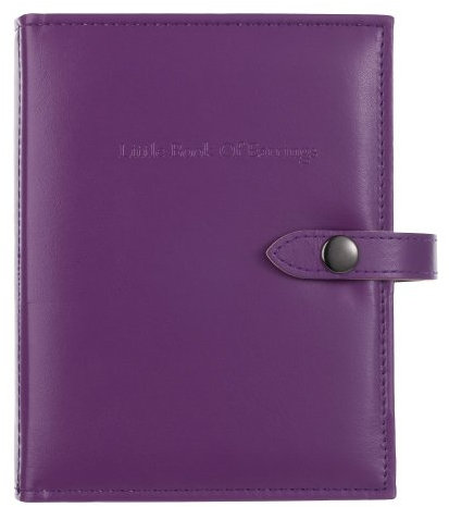 Little Book Of Purple Earring Book Holds 48 Pairs Of Earrings On 4 Pages